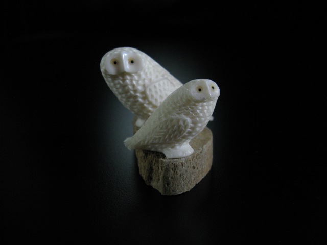 Alaskan Ivory Owls 