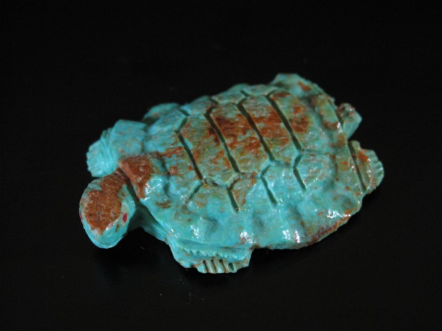 Herbert Him Turquoise Turtle